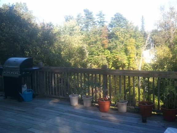 views of stream from deck