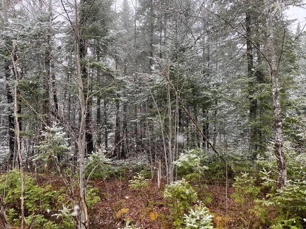 913 Skedgell Road, Cary Plt, ME 04471