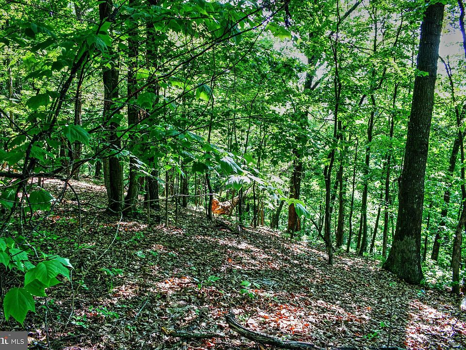 2nd image of Supinlick Ridge Rd