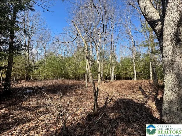 Hawk Ln Lot 657, Jim Thorpe, PA 18229