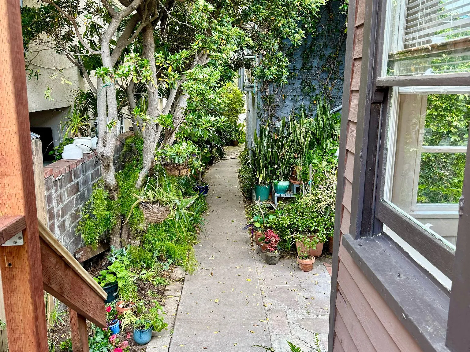 1 bed, 520 sqft, $3,900 — Photo 3