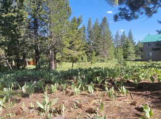 12495 Springbrook Pl, Truckee, CA 96161