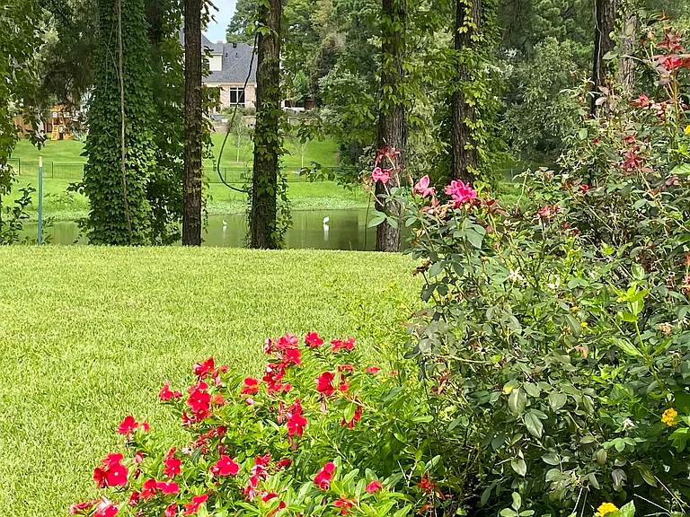 Lush Landscaping