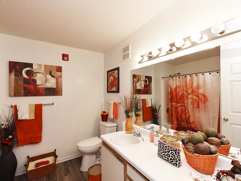 Double bathroom sinks with large mirror