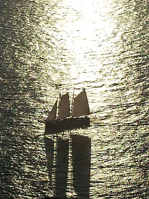 Rented by DJK Residential | media 23