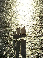 Rented by DJK Residential