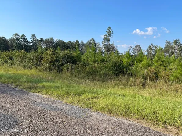 Harlan Davis Rd, Lumberton, MS 39455