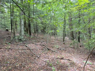 0 John Ford Rd, Ashfield, MA, 01330