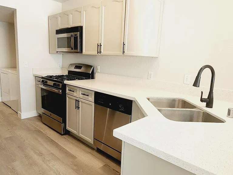 double stainless steel sink with gooseneck faucet.