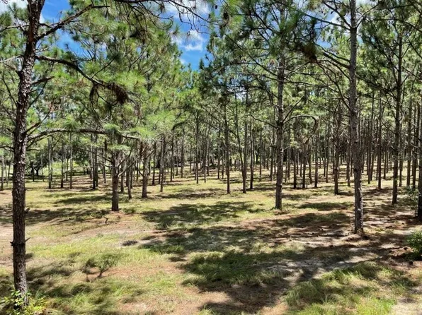 SE State Rd Lot 4, Weirsdale, FL 32195