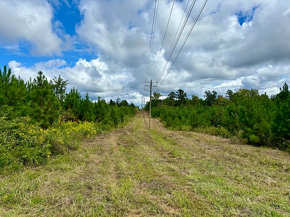 Powerline Near Route 40 Road Frontage