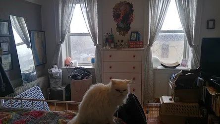 Rented by Brick Real Estate