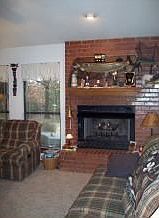 Fireplace in LivingRoom