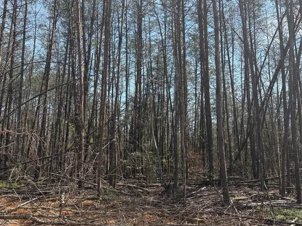 Avenida De Oro Rd #2.2, Morganton, NC 28655