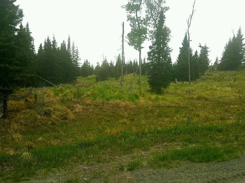 2nd image of 67587 Maule Ave
