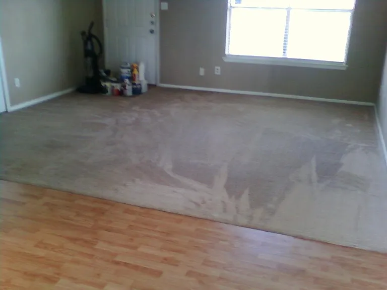 view of living room from dining area