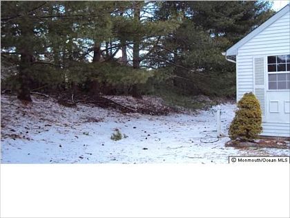 3rd image of 31B Easton Dr #61