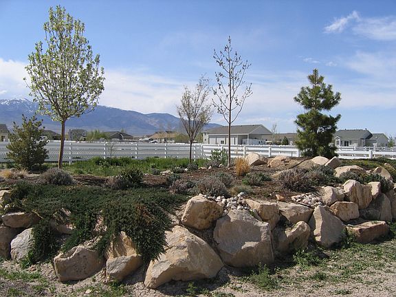 Backyard Landscaping 1