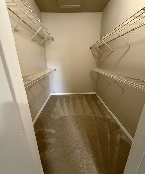 13003 Sanctuary Cove Dr #302 — Photo 6