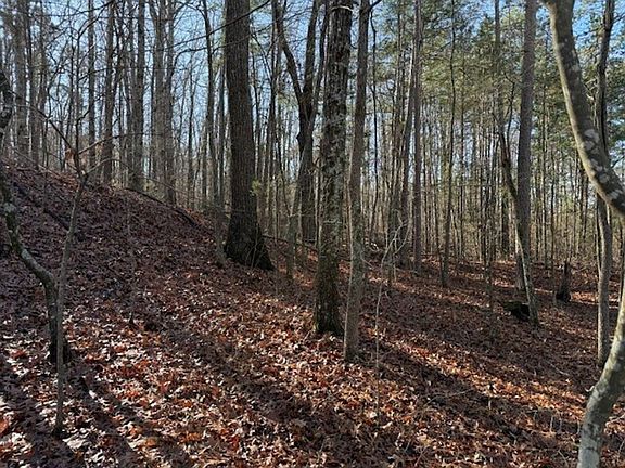 2nd image of 4 County Road 751