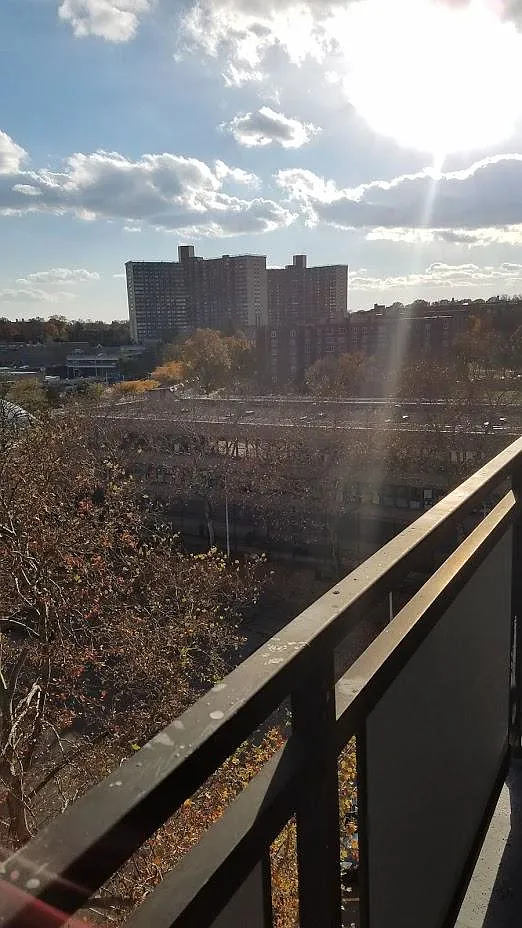Studio, 520 sqft, $2,200 — Photo 3