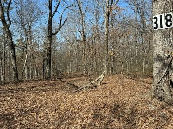 0 County Road 201, Greenville, MO 63944