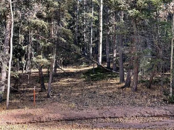 222 Banner Trl, Florissant, CO 80816