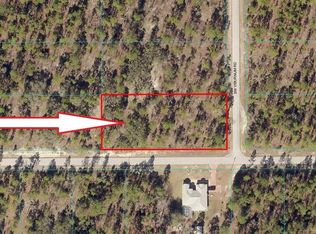LOT 20 SW Neptune Blvd LOT 20, Dunnellon, FL 34431