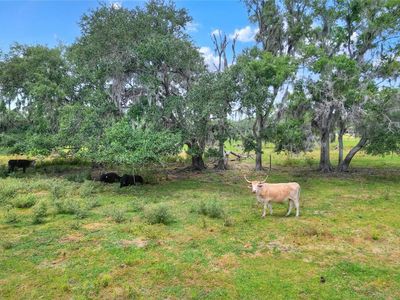 0 S CR 39 LOT 4, Lithia, FL, 33547