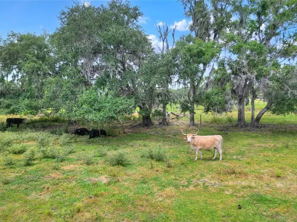 0 South Cres Lot 39-4, Lithia, FL 33547
