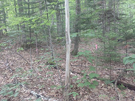 5th image of TBD Stream Road Road