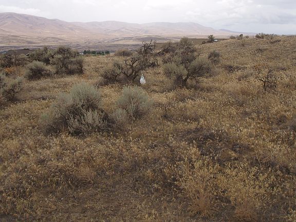2nd image of 876 N Desert Aire Dr