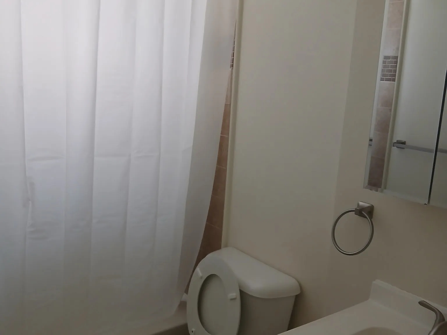 1 bed, $850 — Photo 4