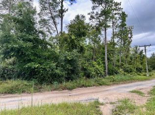 LOT 66 1st St LOT 66, Altoona, FL 32702