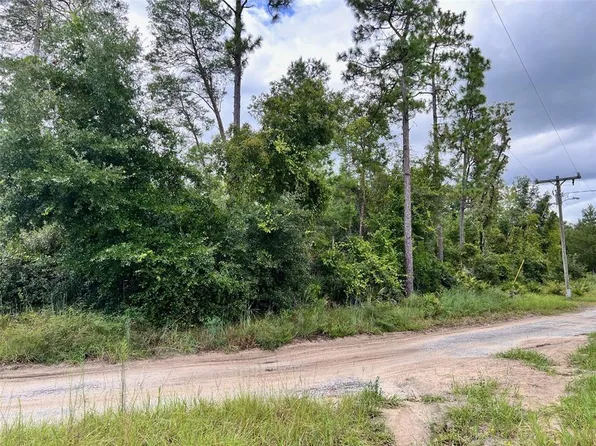 LOT 66 1st St Lot 66, Altoona, FL 32702