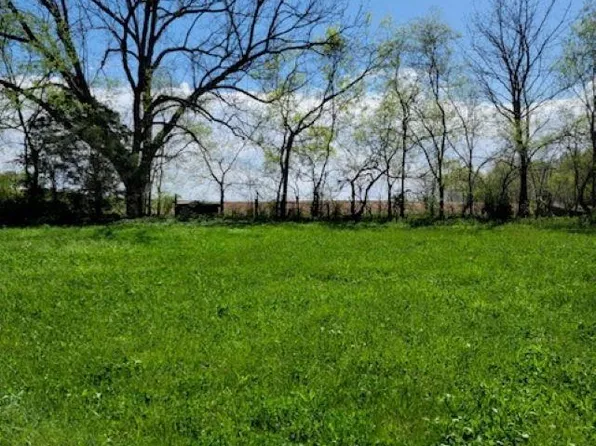 0 Dinwiddie Rd, Franklin, KY 42134