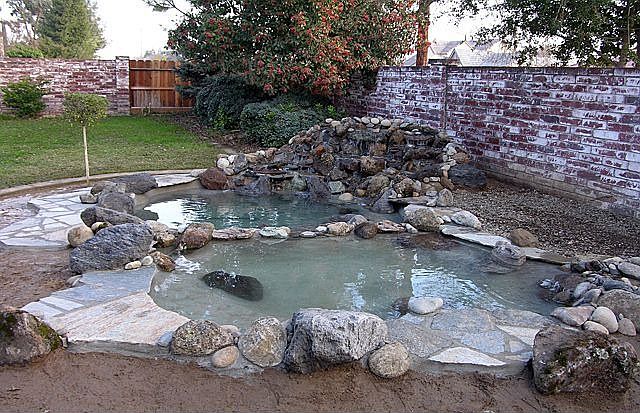 1700 gallon Koi pond