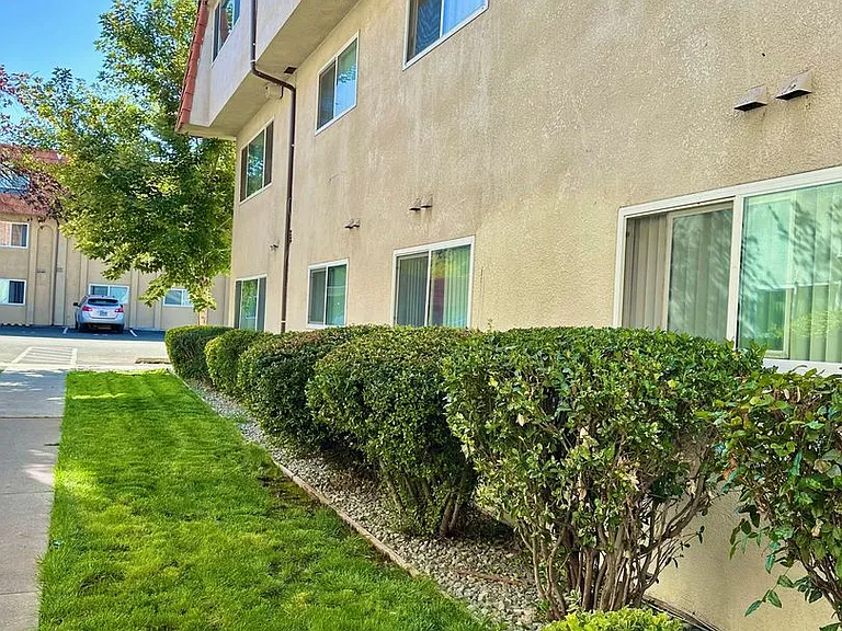 Sherwood Forest Apartments — Photo 49