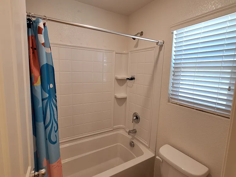 Alboran Sea Cir — Photo 16