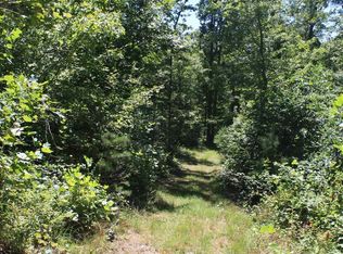 2 Little Mountain Rd, New Castle, VA 24127