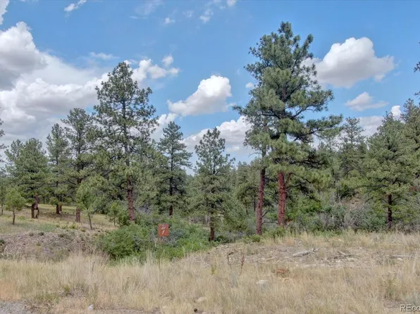 11011 Sunset Oaks Place, Franktown, CO 80116