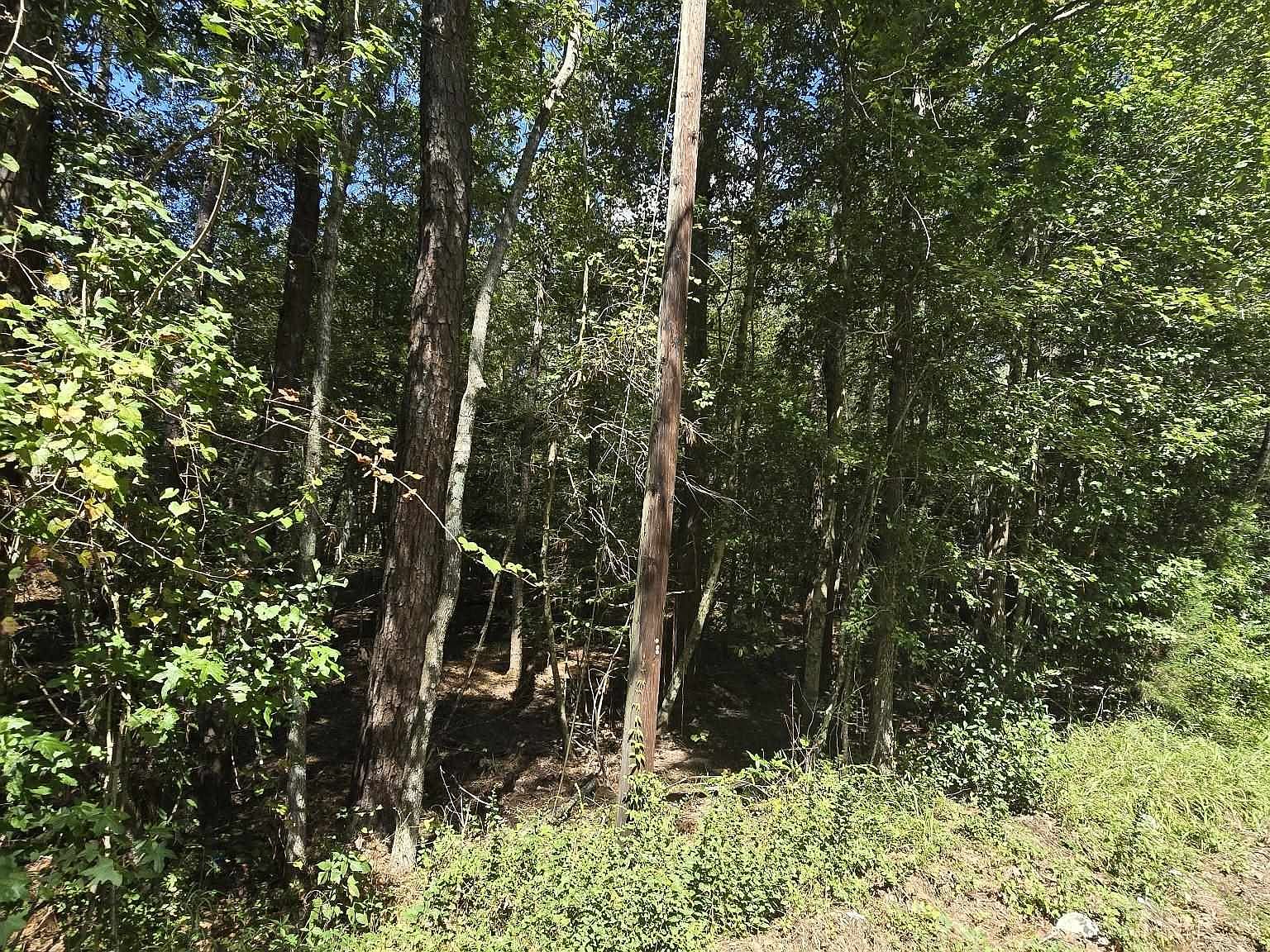 10476 county road 2