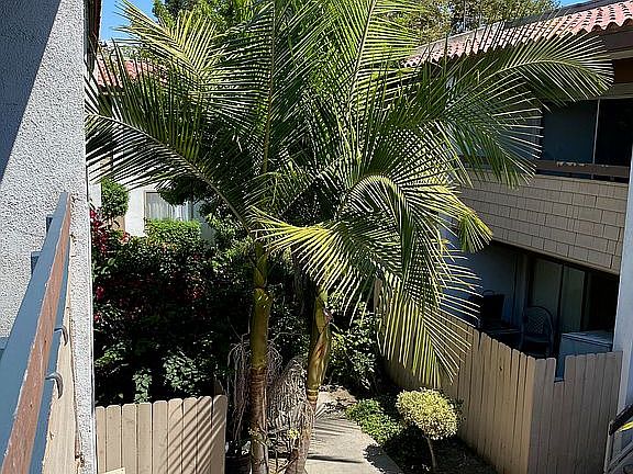 4th image of 2521 W Sunflower Ave Unit K8
