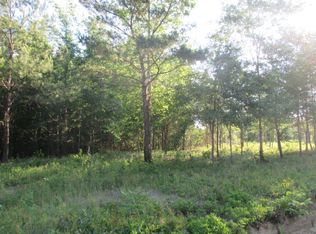 20 State Highway 57 S, Ludowici, GA 31316