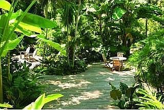 Patio Garden