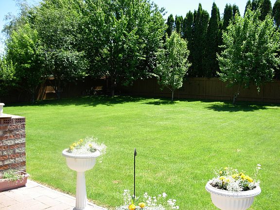 Yard/Different Angle