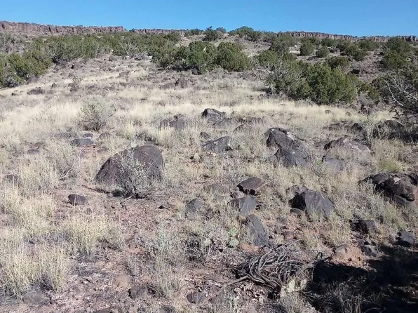 E Enchanted Mesa Trl, Grants, NM 87020