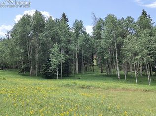 Will Scarlet Dr, Divide, CO 80814