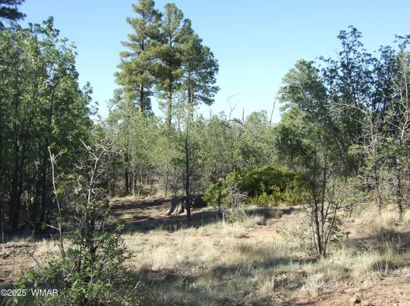 PARCEL Lamb Dr #D, Pinedale, AZ 85934