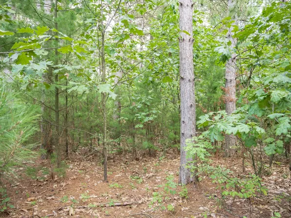 W4076 Mays Point Rd, Necedah, WI 54646